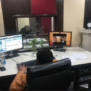 Professional Hindi Voice Over Services